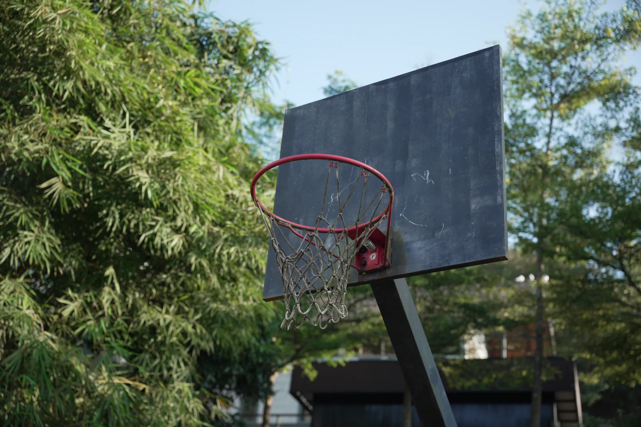 korome-campus-basketball-hoop