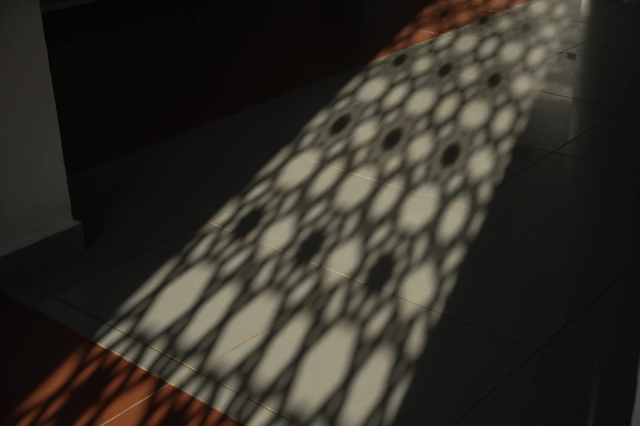 korome-campus-lattice-shadow-floor