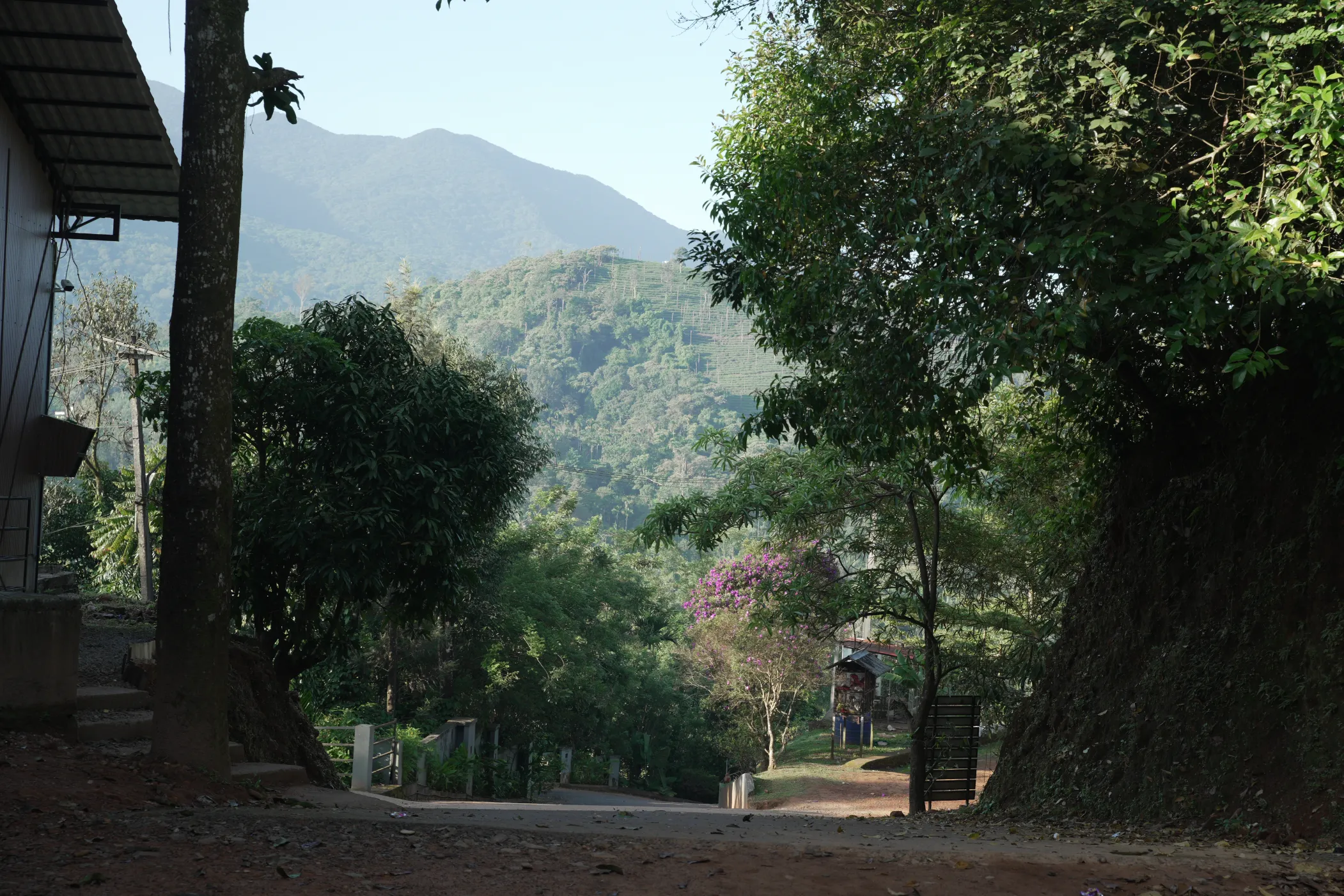 korome-campus-road-hill-view